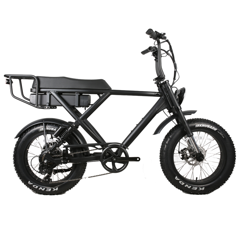 Smart Type Sensor DOMANCA 500w/750w/1000w Full Suspension Super Electric Cruiser Bikes