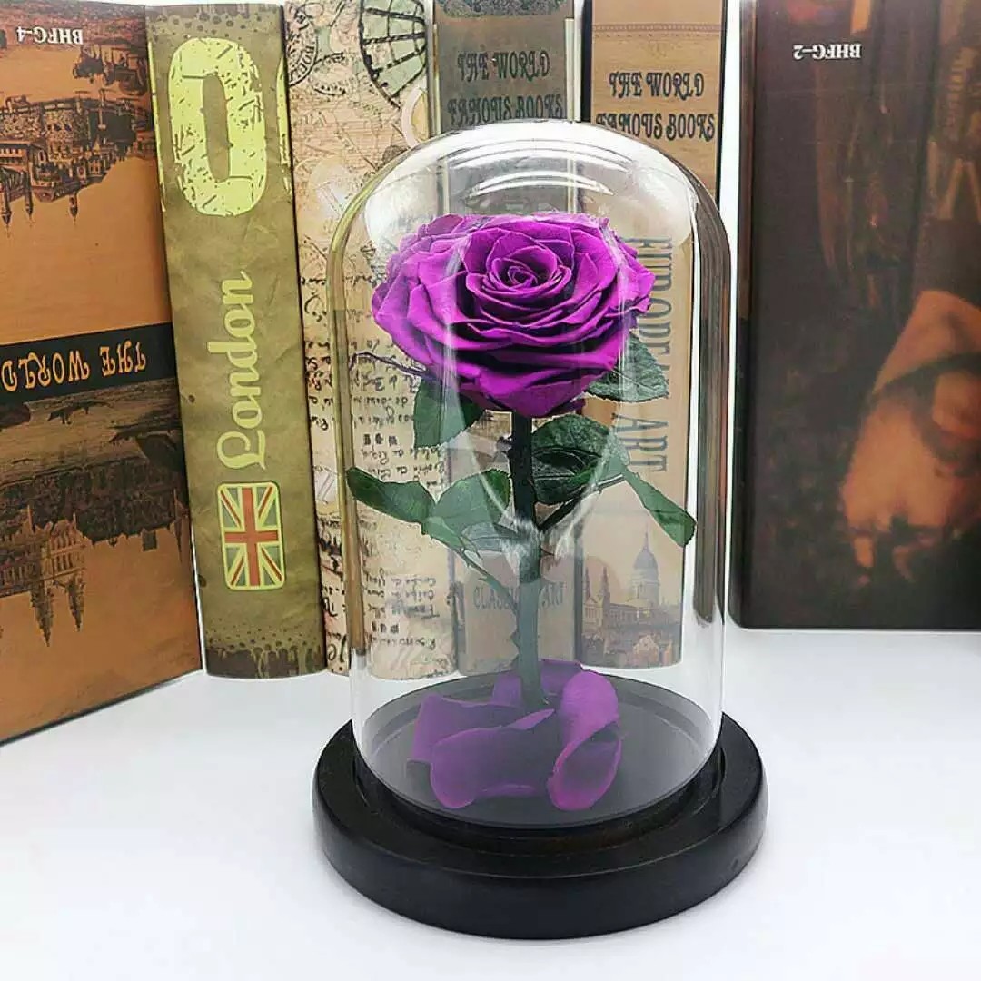 Preserved Rose Flower The Little Prince for Lasting Decoration