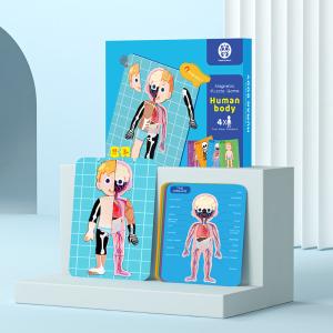 Wholesale 48Pcs Kids Magnetic Puzzles Human Anatomy Puzzle Montessori Body Parts Jigsaw Puzzle from china suppliers