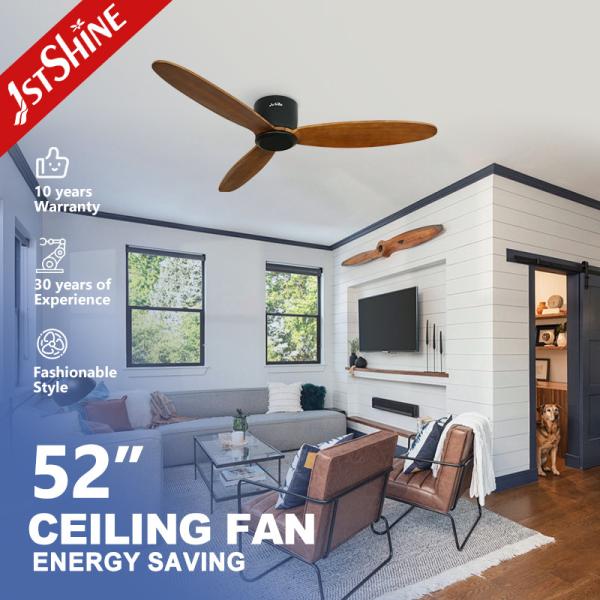 Commercial European Style Electric Ceiling Fan with Remote Control 1stshine Boom