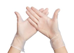 Wholesale Clear PVC Work Gloves , Protective Powder Free Disposable PVC Gloves from china suppliers