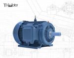 IP54/IP55 Voltage DC Motor 4/6 Poles 0.4-75kw Power Hollow Shaft Speed 1000 -