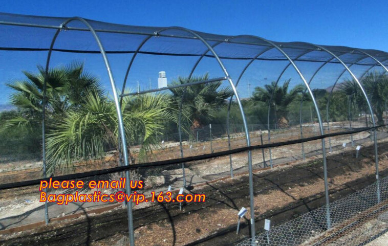 cheap and durable plastic colored anti mosquito netting/window insect screen,Industrial Agricultural Greenhouses use 2m