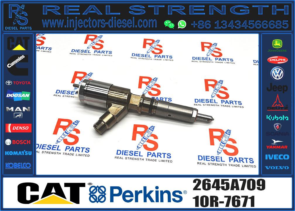 Common Rail Injector Assy 2645A709 295-9130 382-0480 282-0490 292-3780 306-9380 306-9390 310-9067