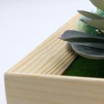 Wooden frame for holding photo picture plant