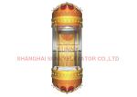 PVC Floor Semicircle 1000kg VVVF Panoramic Glass Lifts With Center Opening Door