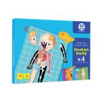 Magnetic Human Body Anatomy Play Set With 48 Magnetic Pieces And Storage Box