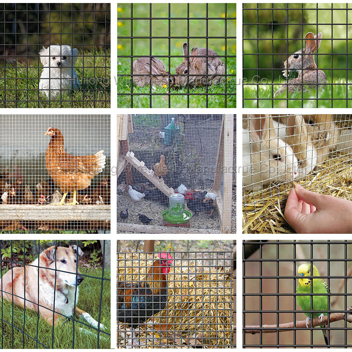 1/2 Inch 3ft Welded Wire Mesh Rolls , 30m Chicken Wire Rolls