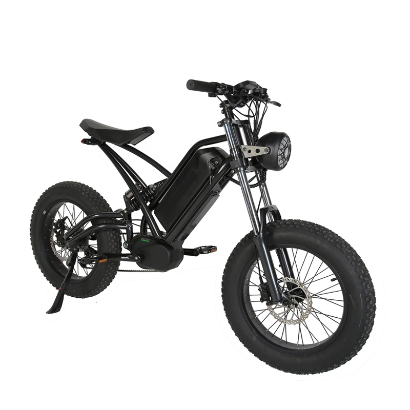 Down Tube Battery Position Fat Tire 1000W MTB Off Road Dirt Ebike Electric Bike Adult