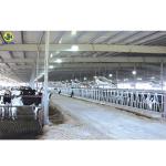 Steel Structural Fabrication Construction Poultry House Shed With Aluminum Alloy