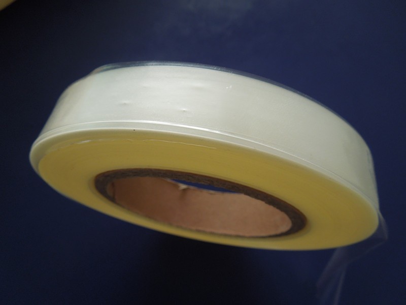 seed tape1.jpg