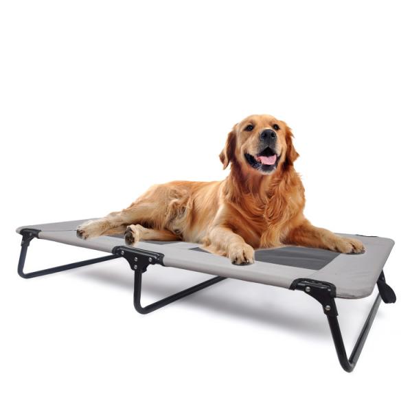 Outdoor Indoor Pet Bed Cushion Elevated Cooling Pet Cot Bed With Strong Mesh
