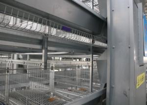 Wholesale Silver Industrial Chicken Coop Poultry Cage Construction 15-20 Years Lifespan from china suppliers