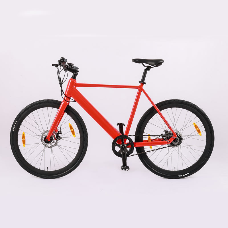 Fashionable Rear Suspension Electric Bike for Adult 48V 250W 500W Road Bicycle