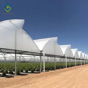 Wholesale Saw Tooth Roof Vents Span Plastic Film Greenhouse For Tropical Climate from china suppliers