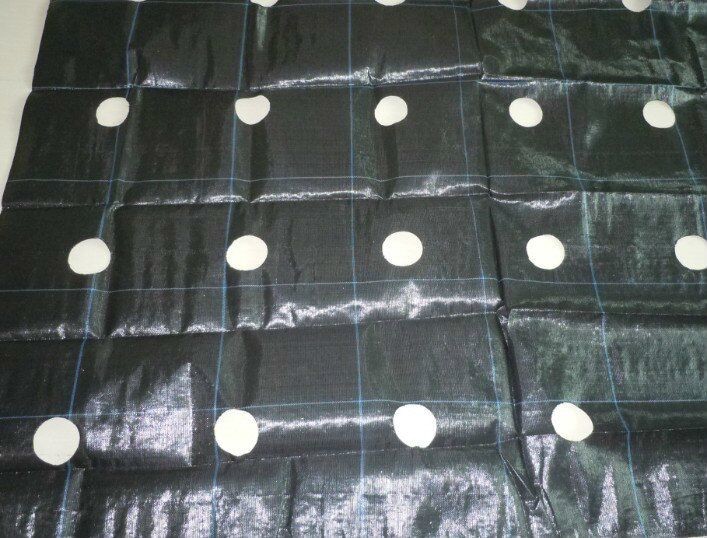 PP Black - Green Biodegradable Landscape Fabric For Stop Grass Growing