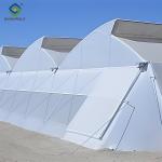 Intelligent Smart Agricultural Gothic Greenhouse Customization Size