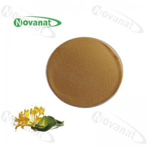 China Honey Suckle Flower Extract Herbal Extract Powder 2%-4% Chlorogenic Acid / Lonicera Japonica Thunb Extract on sale