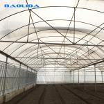 200 Micron Film Tomato Growing Plastic Tunnel Greenhouse Multi Span Greenhouse