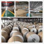 1100 l6 inch 0.7mm thickness aluminum coil for gutter Making Fences Cold Rolled