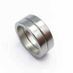 Sample Large Radial Magnetization Ring Neodymium Magnet N35-N52 for Industrial