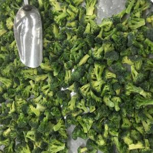 Wholesale Premium IQF Frozen Vegetables / Green Broccoli Safe And Healthy Food from china suppliers