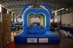 Durable Commercial Inflatable Water Slides , Cute Dolphins Cartoon Long Water