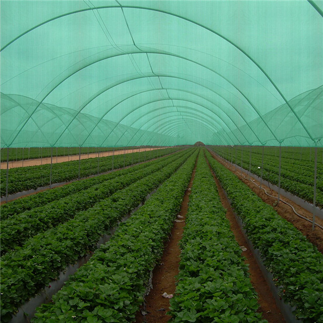 HDPE Knitted Garden Privacy Screen , Tape Yarn Type Black Sun Shade Net