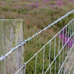 Galvanized Barbed Wire 2.5mm Iron Wire 1.5-3cm Barb Length Hebei Green Woven Bag