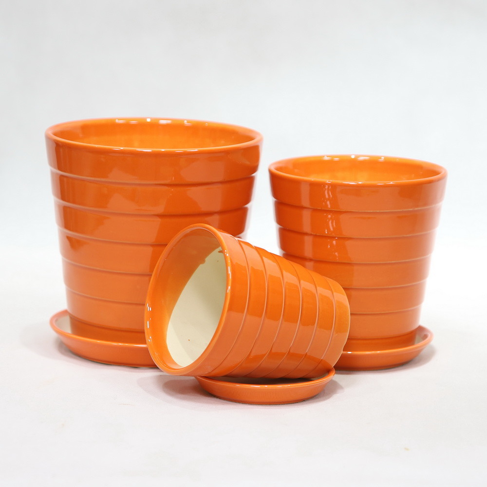 Discover The Best Selection Of Ceramic Pots For Your Plants Affordable Prices