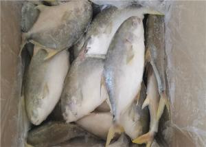 Wholesale Health Golden Pomfret Fish 350G Fresh Frozen Seafood For Hotel from china suppliers