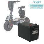 RV Solar Golf Cart Electric Scooter Lithium Battery 1920Wh LiFePO4 48V 40Ah