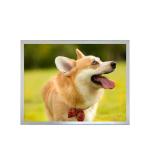 15 Inch High Tni Lcd Monitor Panel High Brightness Industrial Lcd Screen Outdoor