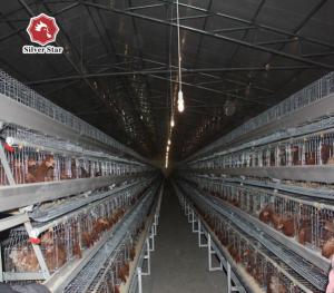 Wholesale 120/160 Chickens Per Set Newest Battery Chicken Cage Steel Wire Mesh from china suppliers