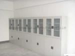 1.0mm Galvanized Steel Laboratory Storage Cabinets For Biology Reagent Sample