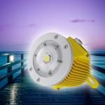 CREE 50w flame proof Industrial LED Lights hazardous area lightings for