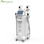 Cryolipolysis Fat Removal System Professional Fat Freeze Equipment Cryo Fat