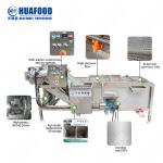 Industrial Fruit and Vegetable Washing Machine Dates Cleaning Machine for the