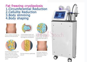 Wholesale CE Rohs Weight Loss Body EMShapeing Cryolipolysis Machine from china suppliers