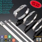 SS316L, SS316, SS304 Uncoated Stainless Steel Ball-lock Cable Ties, Self-locking