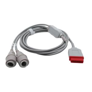 Wholesale GE Marquette IBP Adapter Cable Double Edwards Connector 2021197-003 3.2m Length from china suppliers