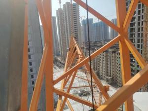 Wholesale Zoomlion 5610-6 Tower Crane Sold at a Discount in 2013 with Provide 7-20 Working Days from china suppliers