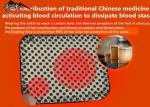 Customized Magnet Therapy Products Brace Heating Protection Ankle Support Ankle