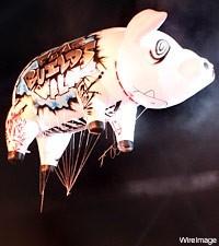 Wholesale Shine of the pig,the inflatable helium balloon for decoration from china suppliers