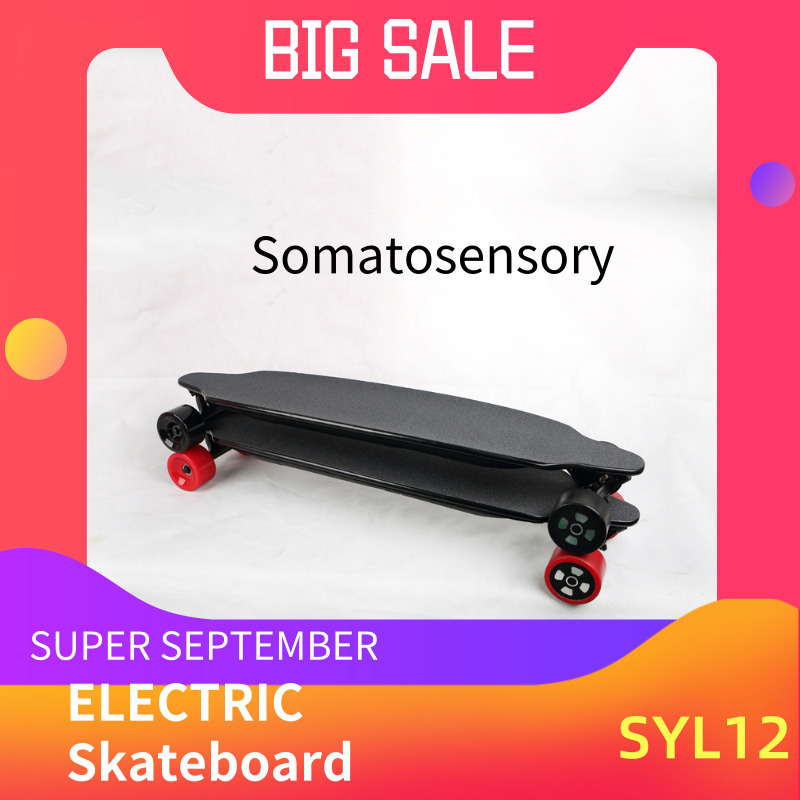 Gravity Panther Portable Electric Skateboard , Black Electric Powered Longboard
