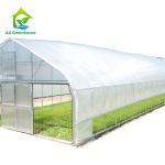 26ft Width Single Span Pipe Framed Greenhouse Anti UV Film High Tunnel