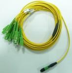 single connector 4, 8, 12, 24 Fiber MPO - LC Fiber Optic Patch Cord