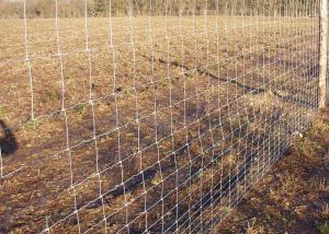 Wholesale 2.5mm Wire Hinged Joint Galvanized 1.2m High Agricultural Fencing from china suppliers