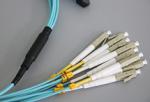 Fan Out 8 Core Single Mode MTP/MPO Trunk Cable