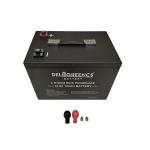 Lifepo4 Deep Cycle Lithium Ion Battery 12v 100ah For Forklift Tricycle